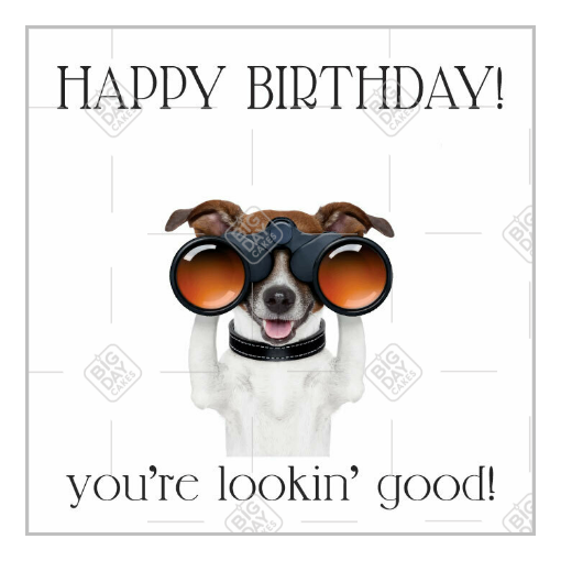Happy Birthday dog topper - square