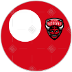 Salford Red Devils frame - round