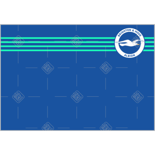 Brighton-and-Hove-Albion topper - landscape