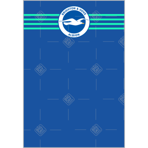 Brighton-and-Hove-Albion topper - portrait