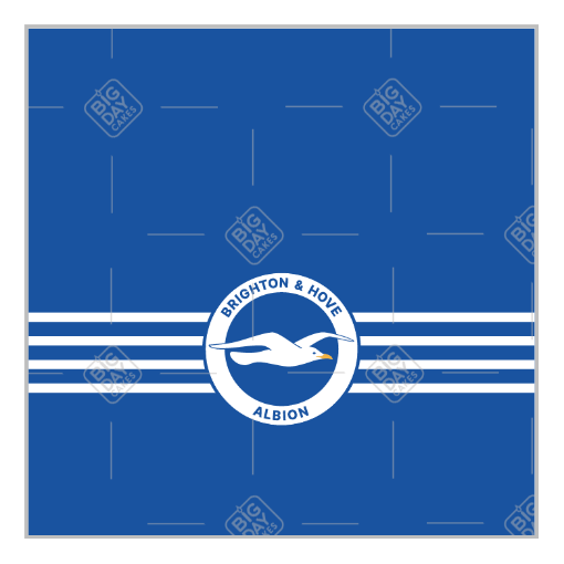 Brighton-and-Hove-Albion topper - square