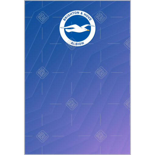 Brighton and Hove Albion Fade topper - portrait