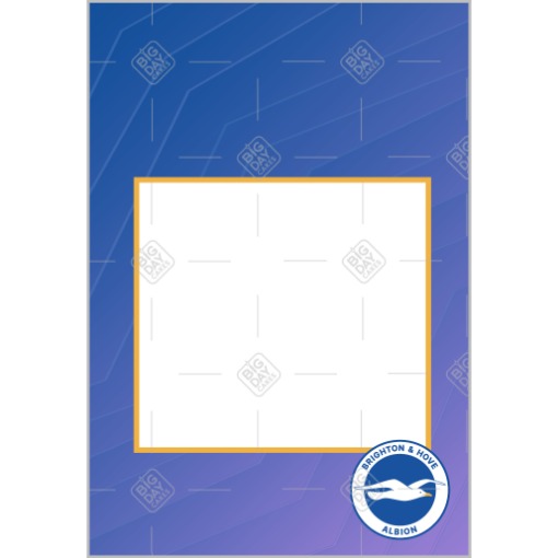 Brighton and Hove Albion cake topper - add a photo and personal message frame - portrait