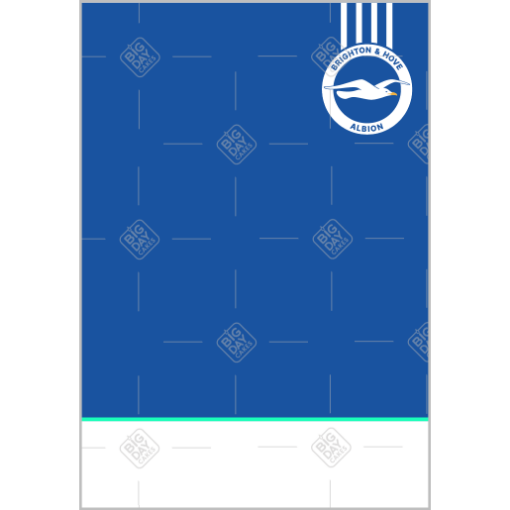 Brighton and Hove Albion Happy Birthday topper - portrait