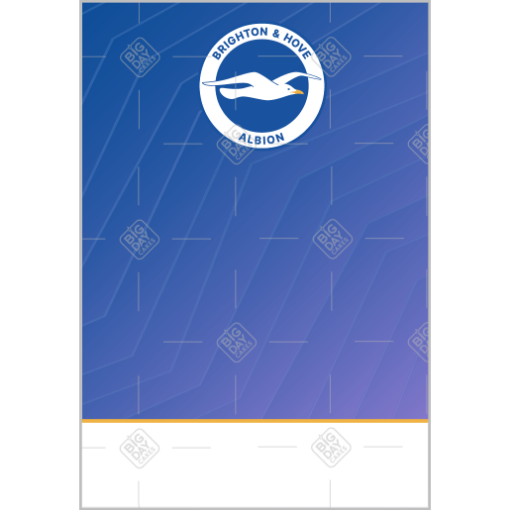 Brighton and Hove Albion Happy Birthday cake topper - add a photo and message topper - portrait